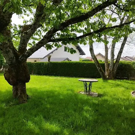 Maison Savoyarde Alby-sur-Cheran